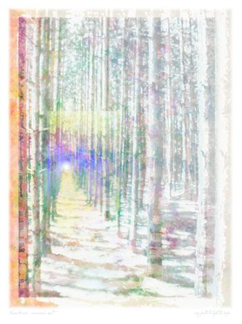 My Path to Light and Hope