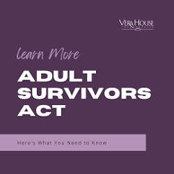 Governor Hochul Signs Adult Survivors Act